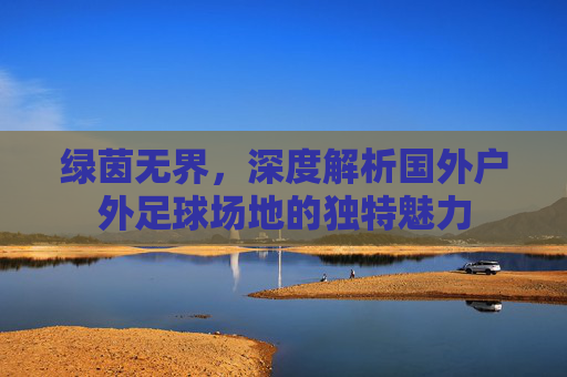 绿茵无界，深度解析国外户外足球场地的独特魅力