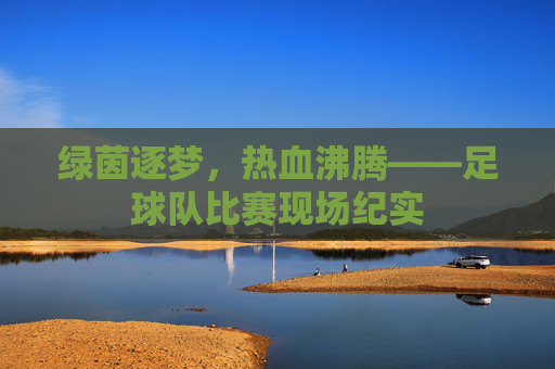 绿茵逐梦，热血沸腾——足球队比赛现场纪实