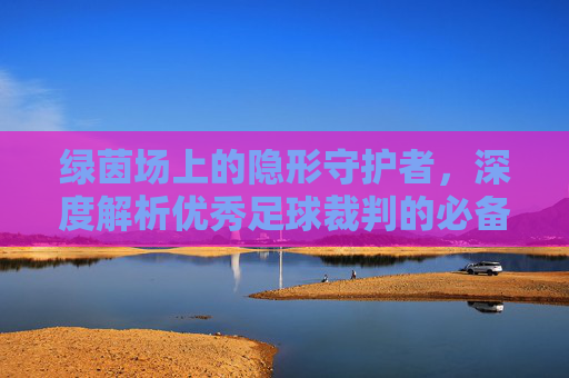 绿茵场上的隐形守护者，深度解析优秀足球裁判的必备条件