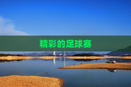 精彩的足球赛