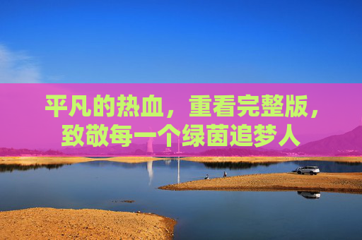 平凡的热血，重看完整版，致敬每一个绿茵追梦人
