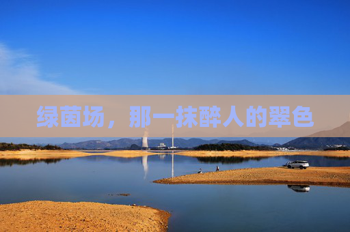 绿茵场，那一抹醉人的翠色