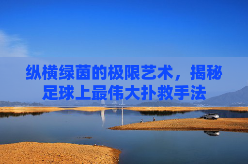 纵横绿茵的极限艺术，揭秘足球上最伟大扑救手法