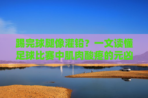 踢完球腿像灌铅？一文读懂足球比赛中肌肉酸疼的元凶