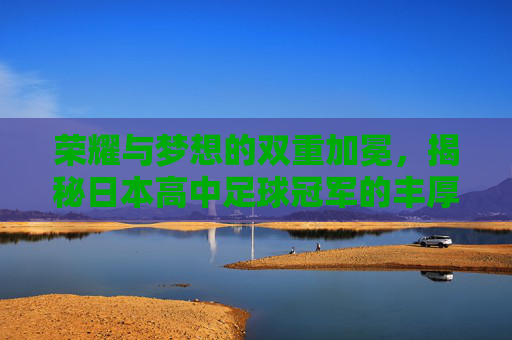 荣耀与梦想的双重加冕，揭秘日本高中足球冠军的丰厚奖励