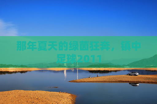 那年夏天的绿茵狂奔，镇中足球2011