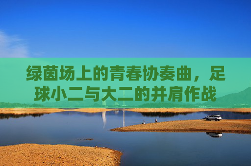 绿茵场上的青春协奏曲，足球小二与大二的并肩作战