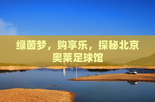 绿茵梦，购享乐，探秘北京奥莱足球馆