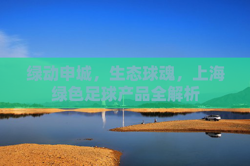 绿动申城，生态球魂，上海绿色足球产品全解析