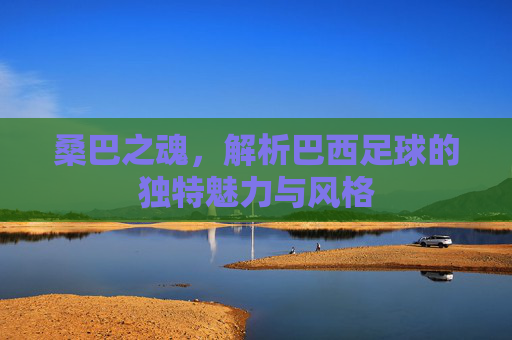 桑巴之魂，解析巴西足球的独特魅力与风格
