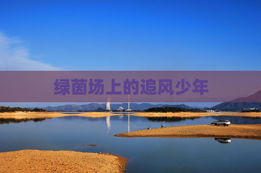 绿茵场上的追风少年