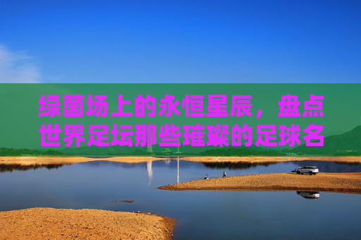 绿茵场上的永恒星辰，盘点世界足坛那些璀璨的足球名将
