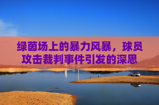绿茵场上的暴力风暴,球员攻击裁判事件引发的深思