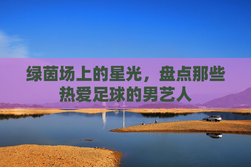 绿茵场上的星光,盘点那些热爱足球的男艺人