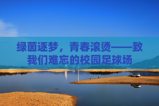 绿茵逐梦，青春滚烫——致我们难忘的校园足球场