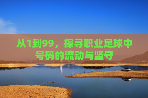 从1到99，探寻职业足球中号码的流动与坚守