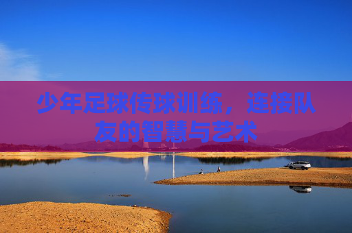 少年足球传球训练,连接队友的智慧与艺术