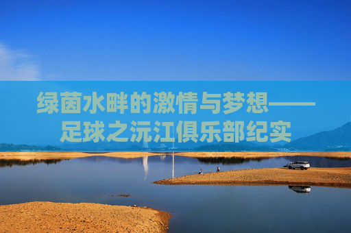 绿茵水畔的激情与梦想——足球之沅江俱乐部纪实