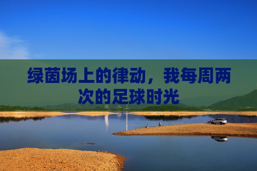 绿茵场上的律动,我每周两次的足球时光