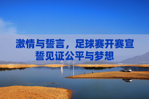 激情与誓言,足球赛开赛宣誓见证公平与梦想