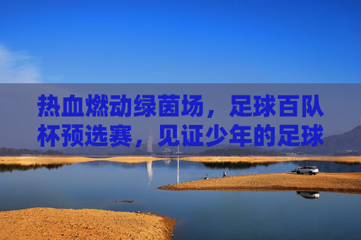 热血燃动绿茵场,足球百队杯预选赛,见证少年的足球梦
