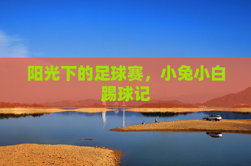 阳光下的足球赛，小兔小白踢球记