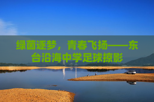 绿茵逐梦,青春飞扬——东台沿海中学足球掠影