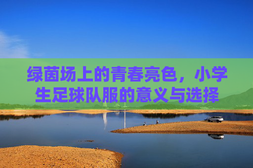 绿茵场上的青春亮色,小学生足球队服的意义与选择