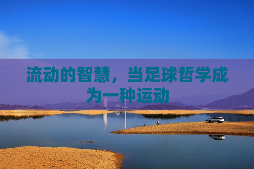 流动的智慧,当足球哲学成为一种运动