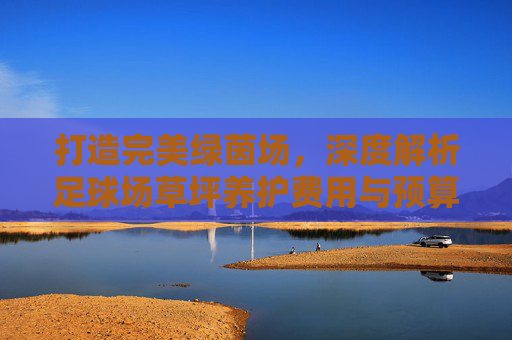打造完美绿茵场,深度解析足球场草坪养护费用与预算规划