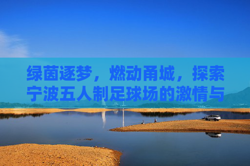 绿茵逐梦,燃动甬城,探索宁波五人制足球场的激情与活力