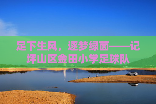 足下生风,逐梦绿茵——记坪山区金田小学足球队