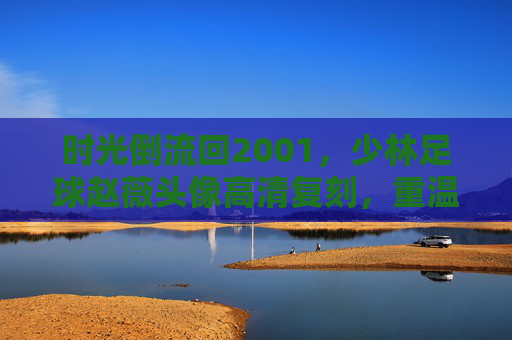 时光倒流回2001,少林足球赵薇头像高清复刻,重温经典港风