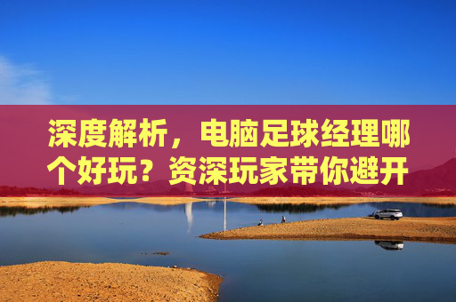 深度解析,电脑足球经理哪个好玩?资深玩家带你避开踩坑指南