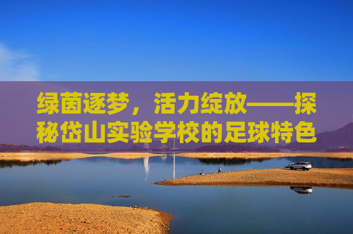 绿茵逐梦,活力绽放——探秘岱山实验学校的足球特色之路