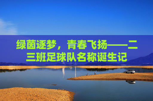 绿茵逐梦,青春飞扬——二三班足球队名称诞生记