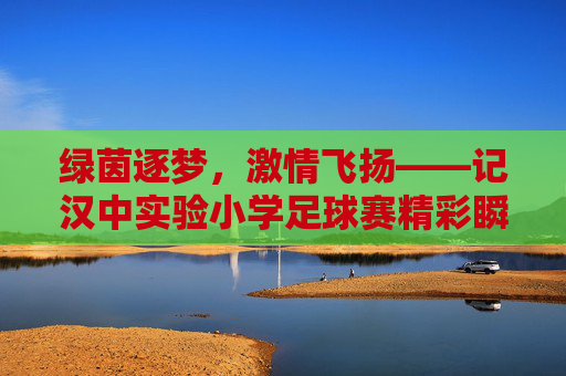 绿茵逐梦,激情飞扬——记汉中实验小学足球赛精彩瞬间