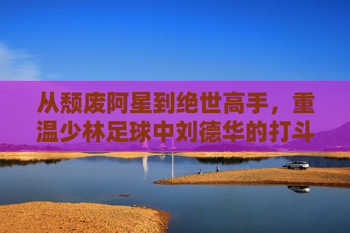 从颓废阿星到绝世高手,重温少林足球中刘德华的打斗风采