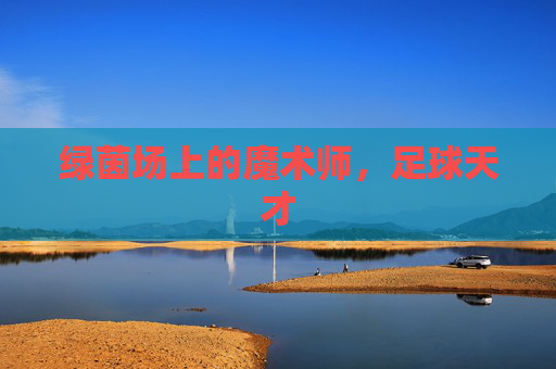 绿茵场上的魔术师,足球天才