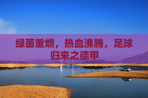 绿茵重燃,热血沸腾,足球归来之德甲