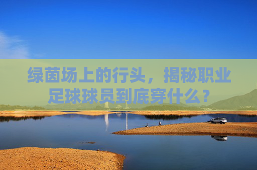 绿茵场上的行头，揭秘职业足球球员到底穿什么？