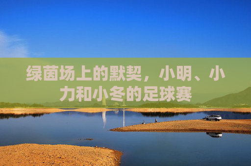 绿茵场上的默契,小明、小力和小冬的足球赛