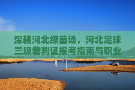 深耕河北绿茵场,河北足球三级裁判证报考指南与职业前景
