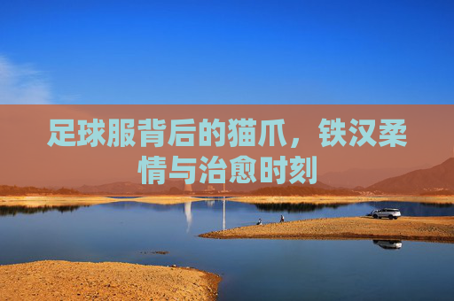 足球服背后的猫爪，铁汉柔情与治愈时刻