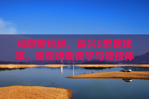 绿茵新地标,嘉兴S型足球草,重塑运动美学与竞技体验