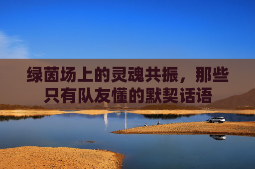 绿茵场上的灵魂共振,那些只有队友懂的默契话语
