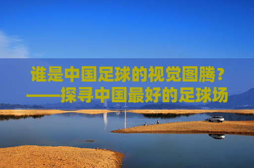 谁是中国足球的视觉图腾?——探寻中国最好的足球场图标