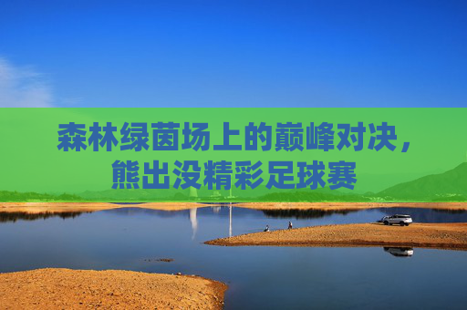 森林绿茵场上的巅峰对决,熊出没精彩足球赛