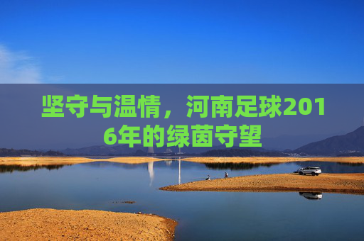 坚守与温情,河南足球2016年的绿茵守望