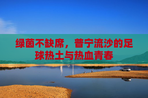 绿茵不缺席,普宁流沙的足球热土与热血青春